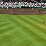 阪神甲子園球場グリーンシート入場券付！宿泊プラン　