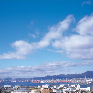 ランチコース