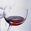 The 28th Kobe Bay Sheraton Wine Festival<br />シェラトン ワイン・フェスティバル