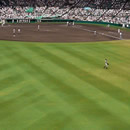 阪神甲子園球場「グリーンシート（バックネット裏）」入場券付宿泊プラン！！