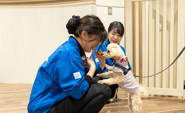 登園・カウンセリング