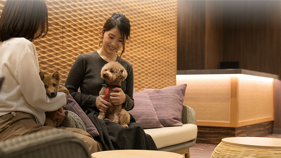 画像：トリミングのイメージ